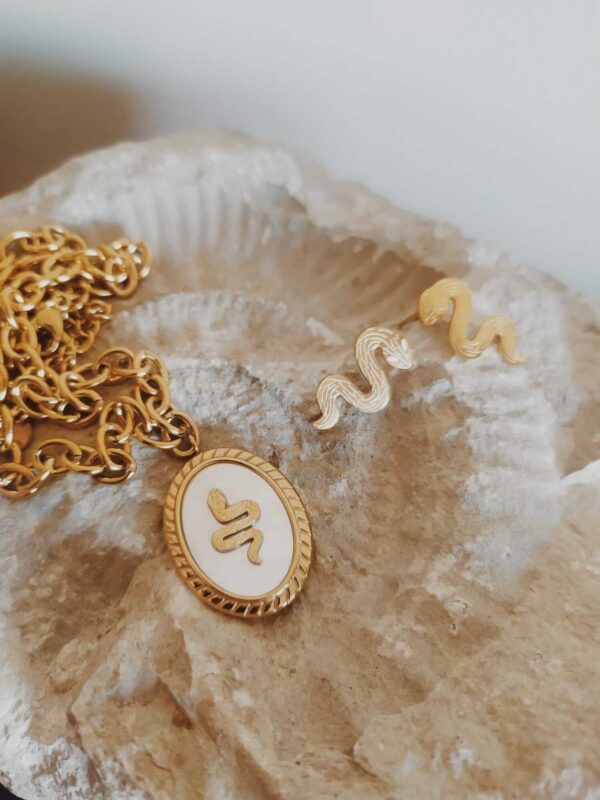 Conjunto colar e brincos serpente em dourado