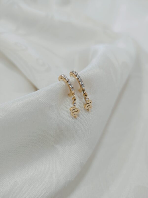 Argolas em aço com brilhantes e pendente em forma de serpente