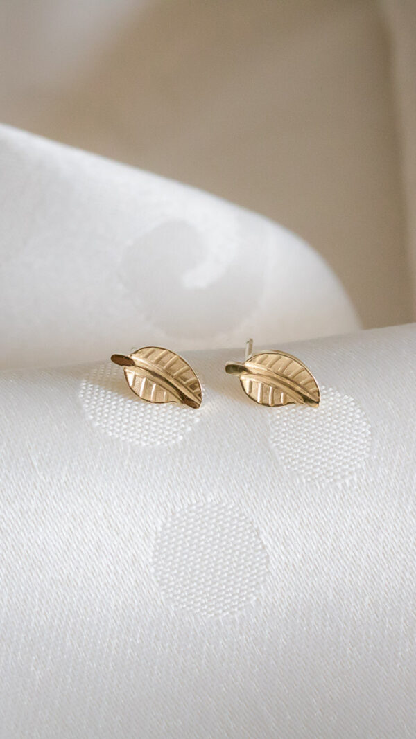 Brincos em aço em forma de folhas