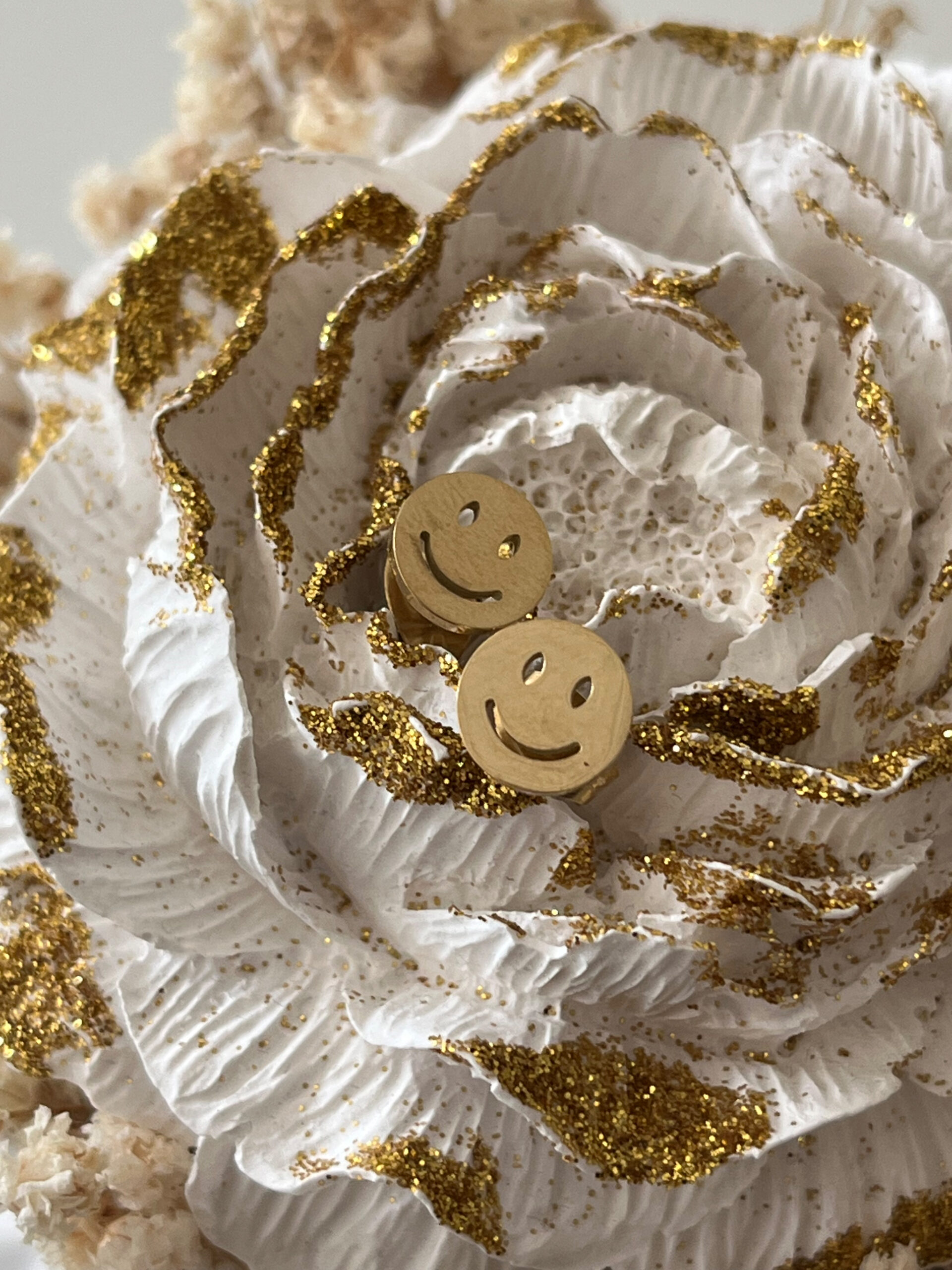 Brincos em Aço Smiley